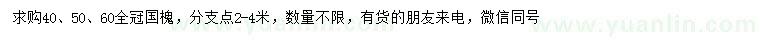 求購40、50、60公分國槐
