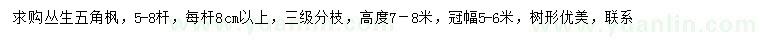 求購(gòu)叢生五角楓