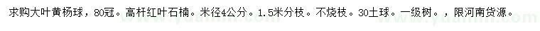 求購(gòu)冠幅80公分大葉黃楊球、米徑4公分紅葉石楠