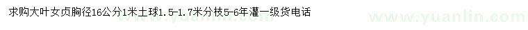 求購胸徑16公分大葉女貞