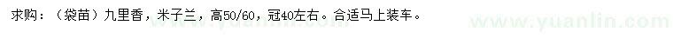 求購高50、60公分九里香、米子蘭
