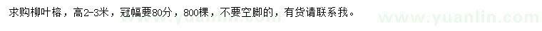 求購高2-3米柳葉榕