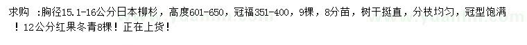 求購(gòu)胸徑15.1-16公分日本柳杉、12公分紅果冬青