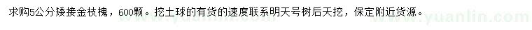 求購5公分金枝槐