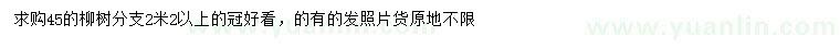 求購(gòu)45公分柳樹(shù)