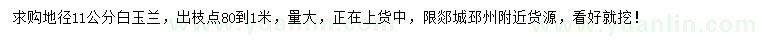求購地徑11公分白玉蘭