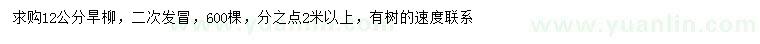 求購12公分旱柳