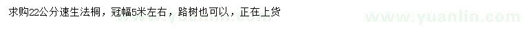 求購22公分速生法桐