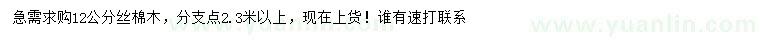 求購(gòu)12公分絲棉木