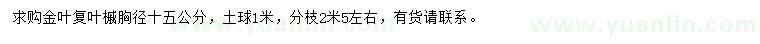 求購(gòu)胸徑15公分金葉復(fù)葉槭