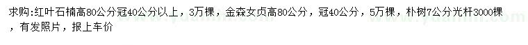 求購紅葉石楠、金森女貞、樸樹