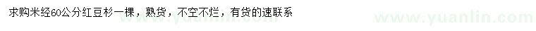 求購(gòu)米徑60公分紅豆杉