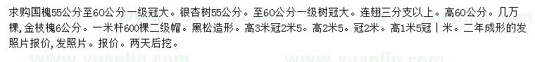 求購(gòu)國(guó)槐、銀杏樹、金枝槐等