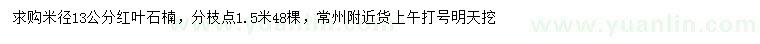 求購米徑13公分紅葉石楠