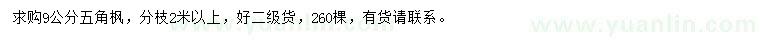 求購(gòu)9公分五角楓