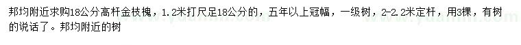 求購1.2米量18公分金枝槐