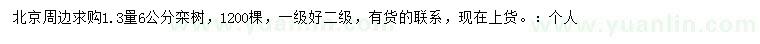 求購(gòu)1.3米量6公分欒樹(shù)