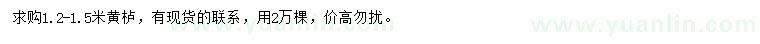 求購1.2-1.5米黃櫨