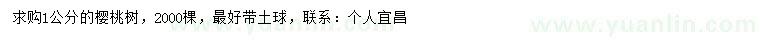 求購1公分櫻桃樹