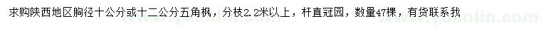 求購胸徑10、12公分五角楓