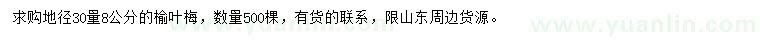 求購30公分量8公分榆葉梅