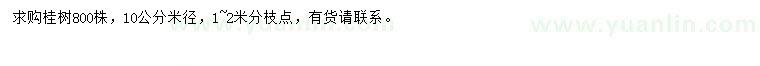 求購米徑10公分桂樹