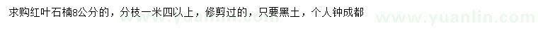 求購8公分紅葉石楠