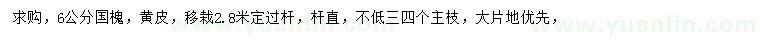 求購6公分國槐