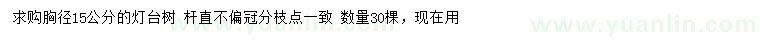 求購胸徑15公分燈臺樹
