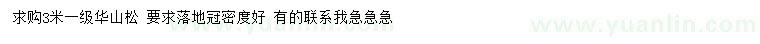 求購3米華山松