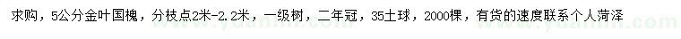 求購5公分金葉國槐