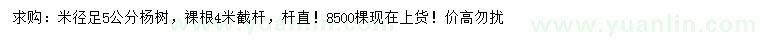 求購米徑5公分楊樹