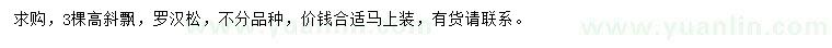 求購羅漢松