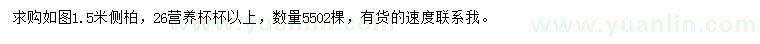 求購1.5米側(cè)柏
