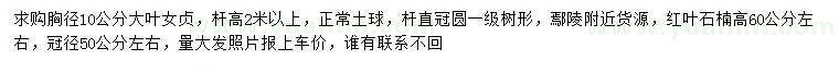 求購胸徑10公分大葉女貞、冠幅50公分紅葉石楠
