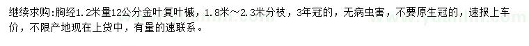 求購1.2米量12公分金葉復葉槭