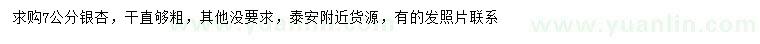 求購7公分銀杏