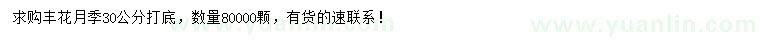 求購30公分以上豐花月季