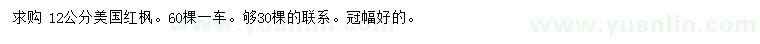 求購12公分美國紅楓