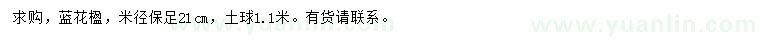 求購(gòu)米徑21公分藍(lán)花楹