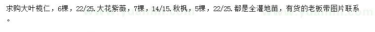 求購(gòu)大葉欖仁、大花紫薇、秋楓