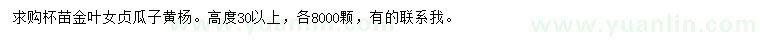求購高30公分 以上金葉女貞、瓜子黃楊