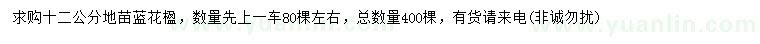求購12公分藍(lán)花楹