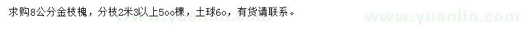 求購(gòu)8公分金枝槐