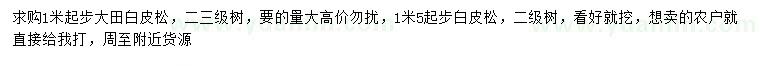 求購1米以上白皮松