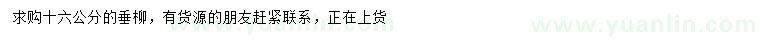 求購(gòu)16公分垂柳