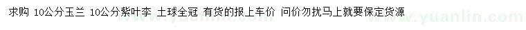 求購10公分玉蘭、紫葉李