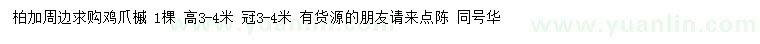 求購高3-4米雞爪槭