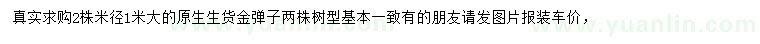 求購米徑1米金彈子