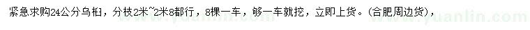 求購24公分烏桕